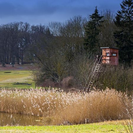 Tiny House Fleesensee Mit Eigenem Garten Und Nur Wenige Meter Vom Seeufer Göhren-Lebbin Zewnętrze zdjęcie