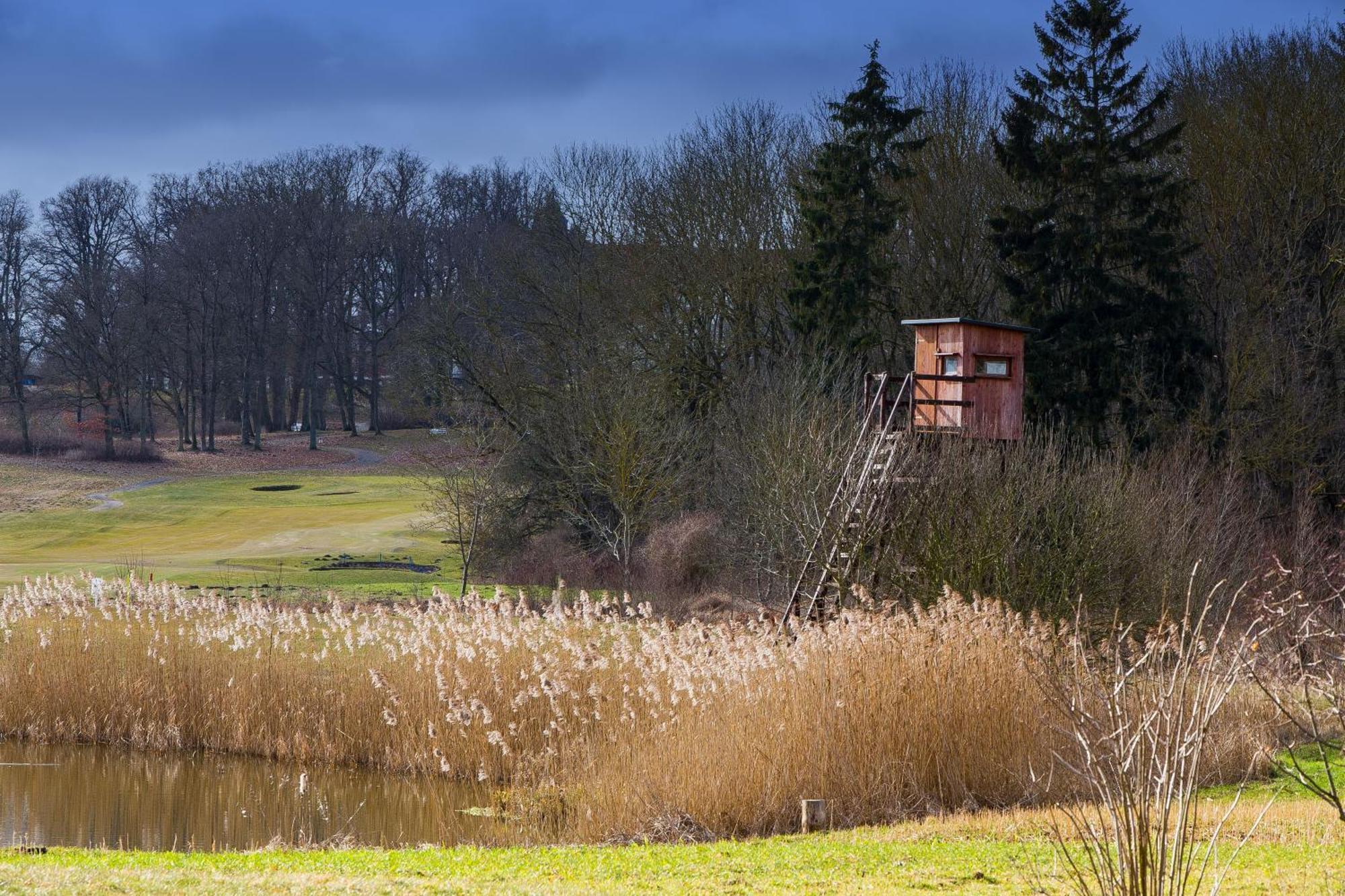 Tiny House Fleesensee Mit Eigenem Garten Und Nur Wenige Meter Vom Seeufer Göhren-Lebbin Zewnętrze zdjęcie